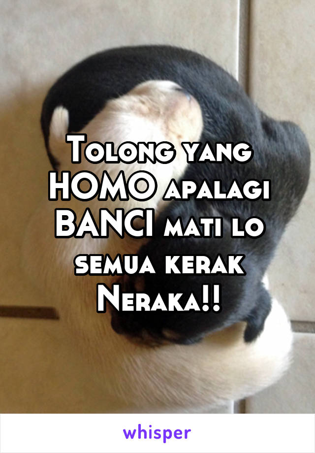 Tolong yang HOMO apalagi BANCI mati lo semua kerak Neraka!!