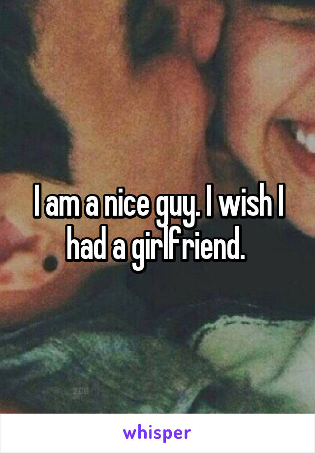 I am a nice guy. I wish I had a girlfriend. 