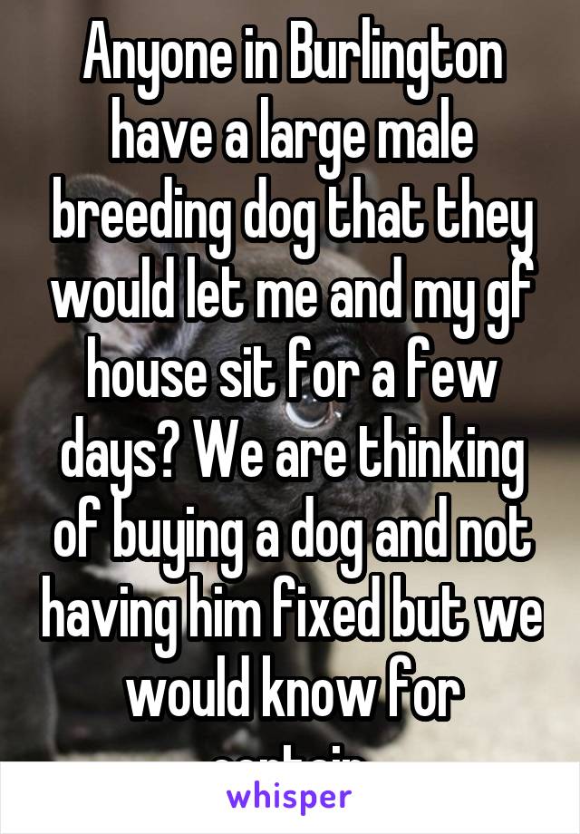 Anyone in Burlington have a large male breeding dog that they would let me and my gf house sit for a few days? We are thinking of buying a dog and not having him fixed but we would know for certain.