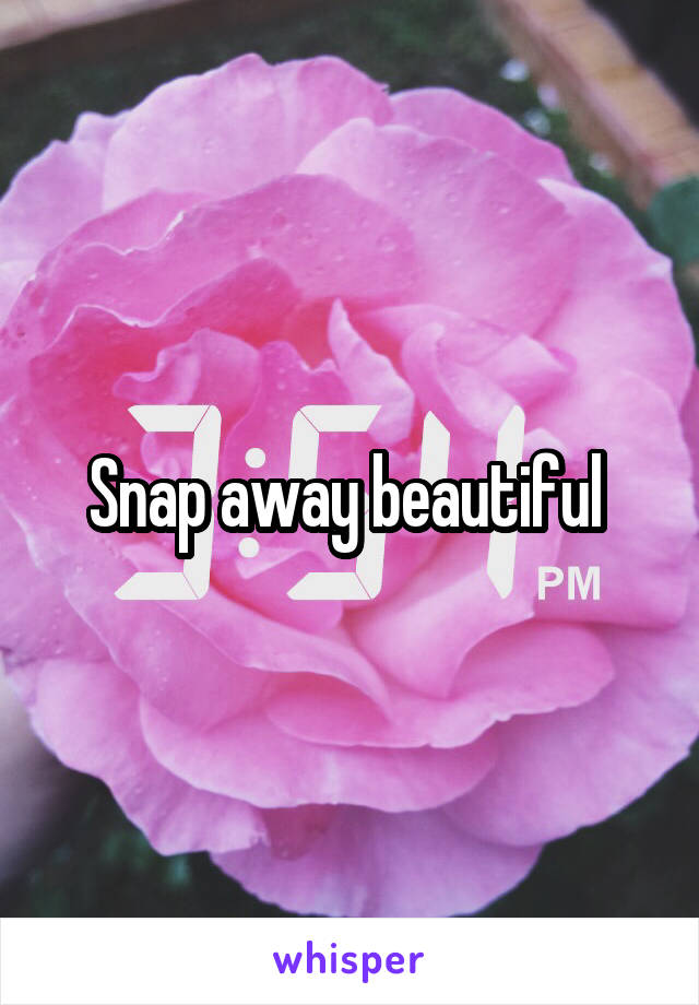 Snap away beautiful 