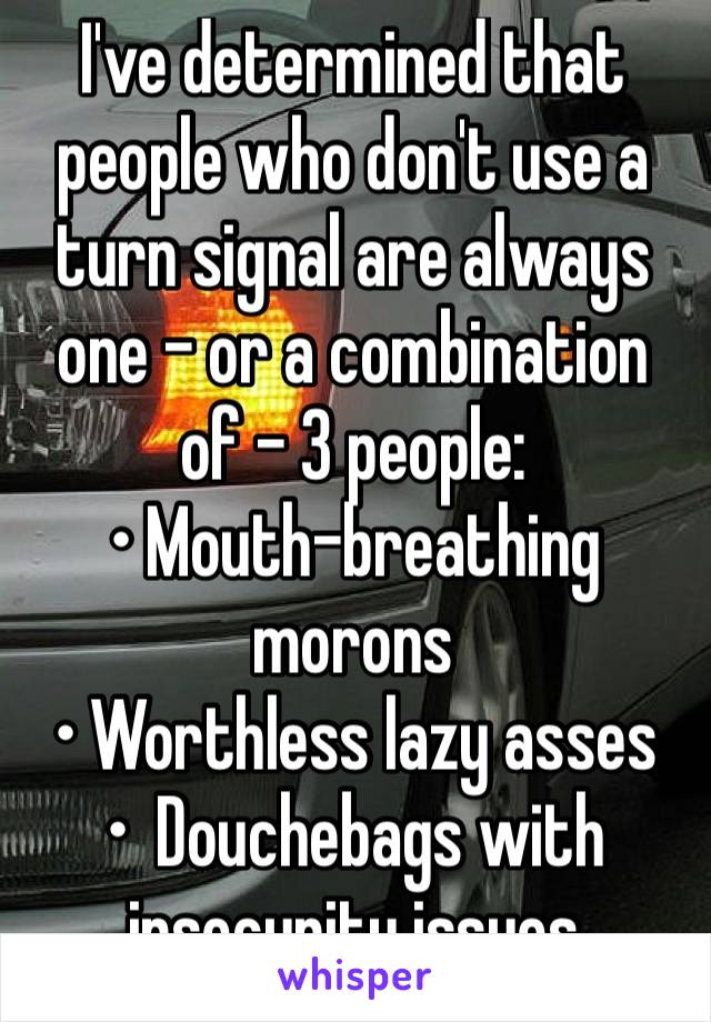 I've determined that people who don't use a turn signal are always one - or a combination of - 3 people:
• Mouth-breathing morons
• Worthless lazy asses
•  Douchebags with insecurity issues