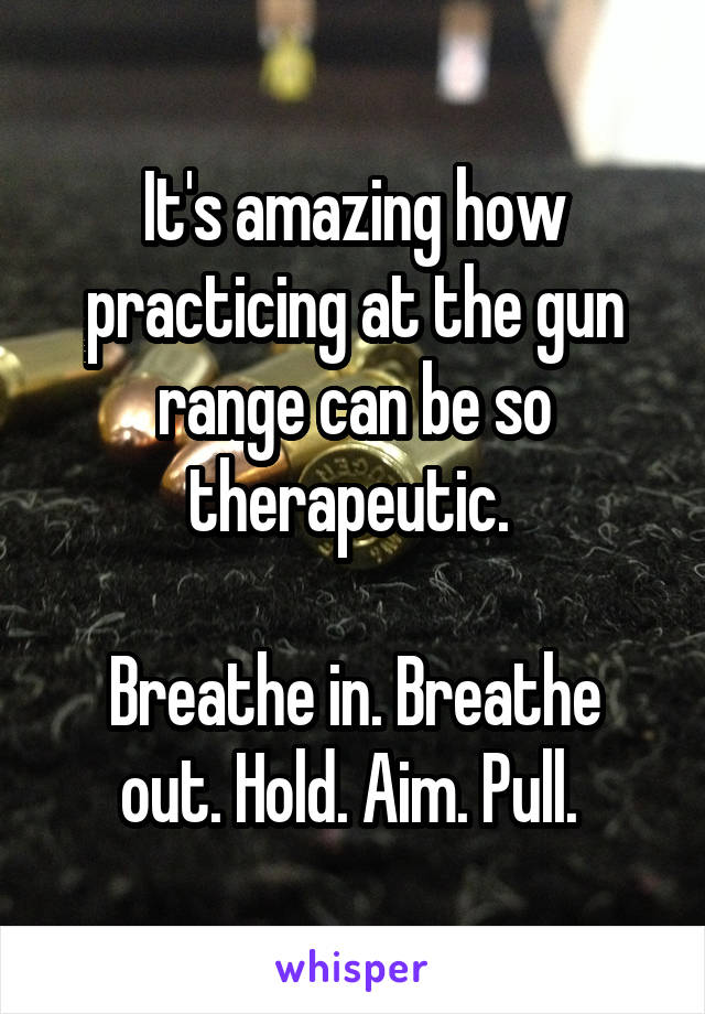 It's amazing how practicing at the gun range can be so therapeutic. 

Breathe in. Breathe out. Hold. Aim. Pull. 