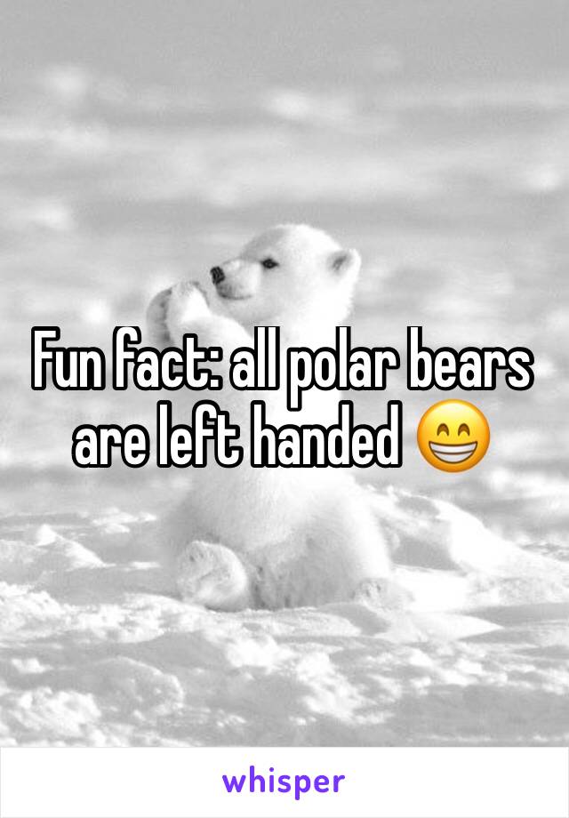 Fun fact: all polar bears are left handed 😁