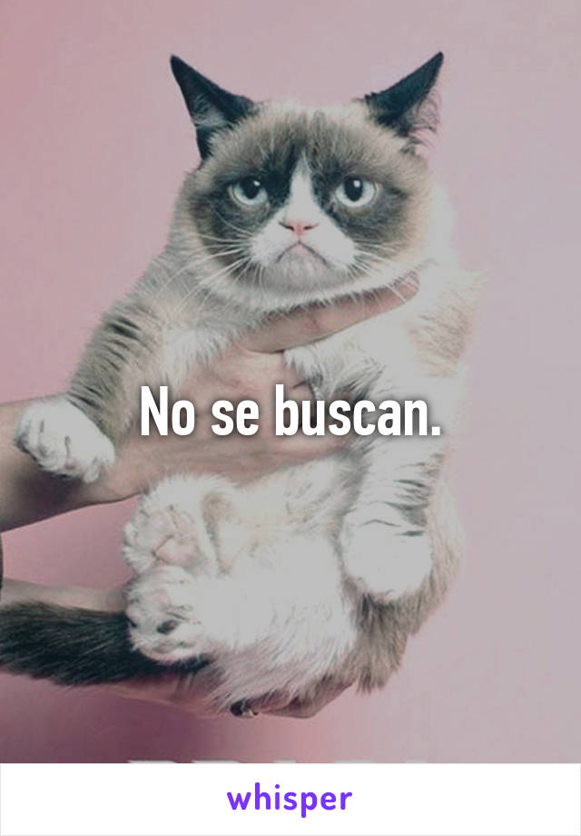 No se buscan.