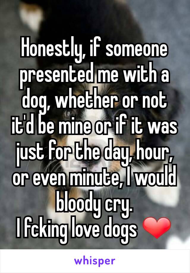 Honestly, if someone presented me with a dog, whether or not it'd be mine or if it was just for the day, hour, or even minute, I would bloody cry.
I fcking love dogs ❤