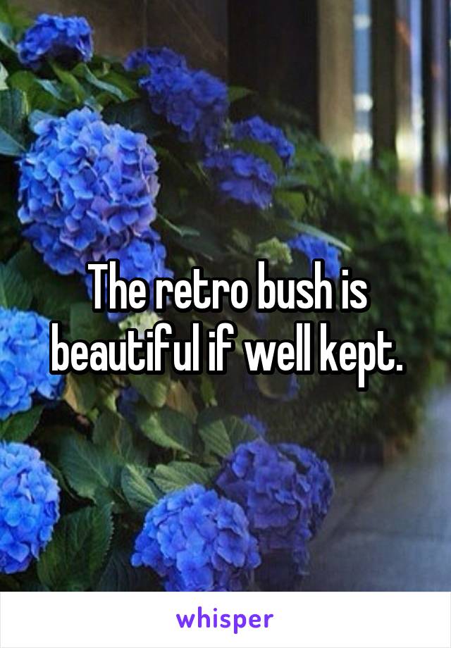 The retro bush is beautiful if well kept.