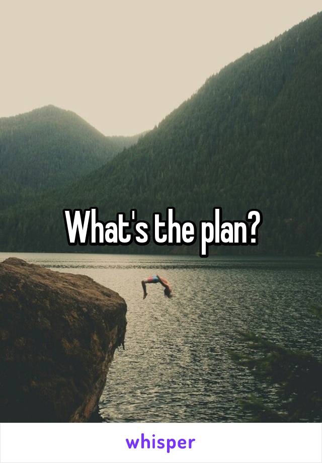 What's the plan?