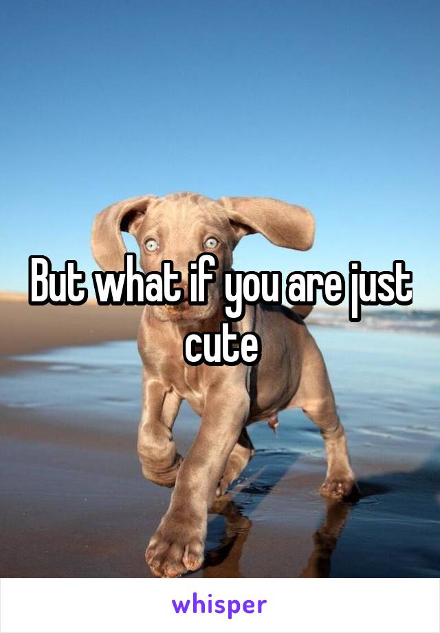 But what if you are just cute