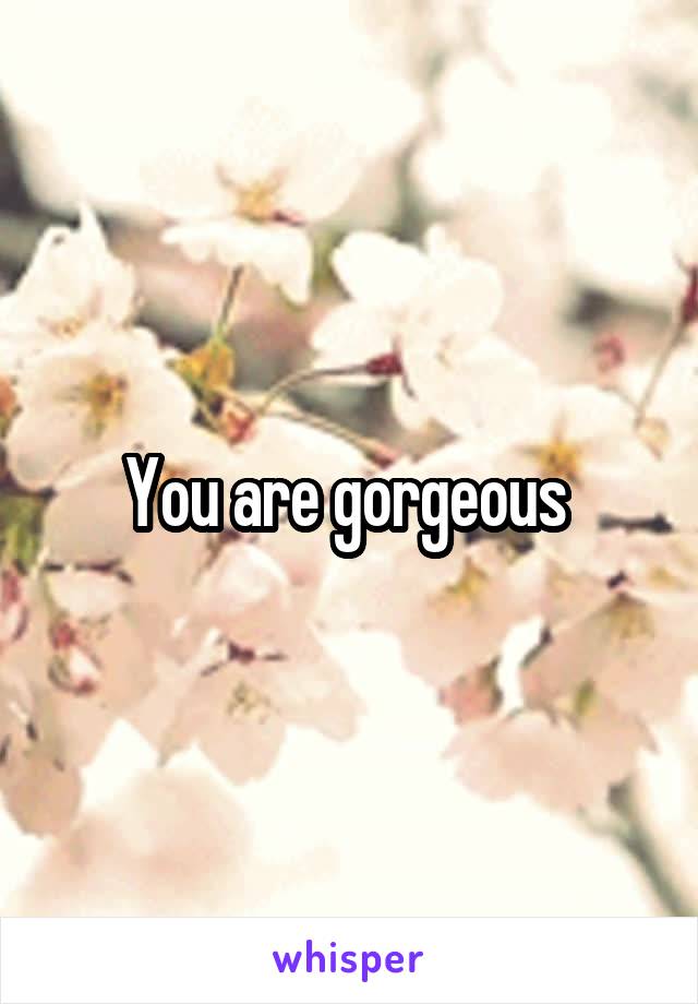 You are gorgeous 