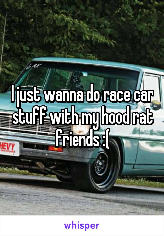 I just wanna do race car stuff with my hood rat friends :(