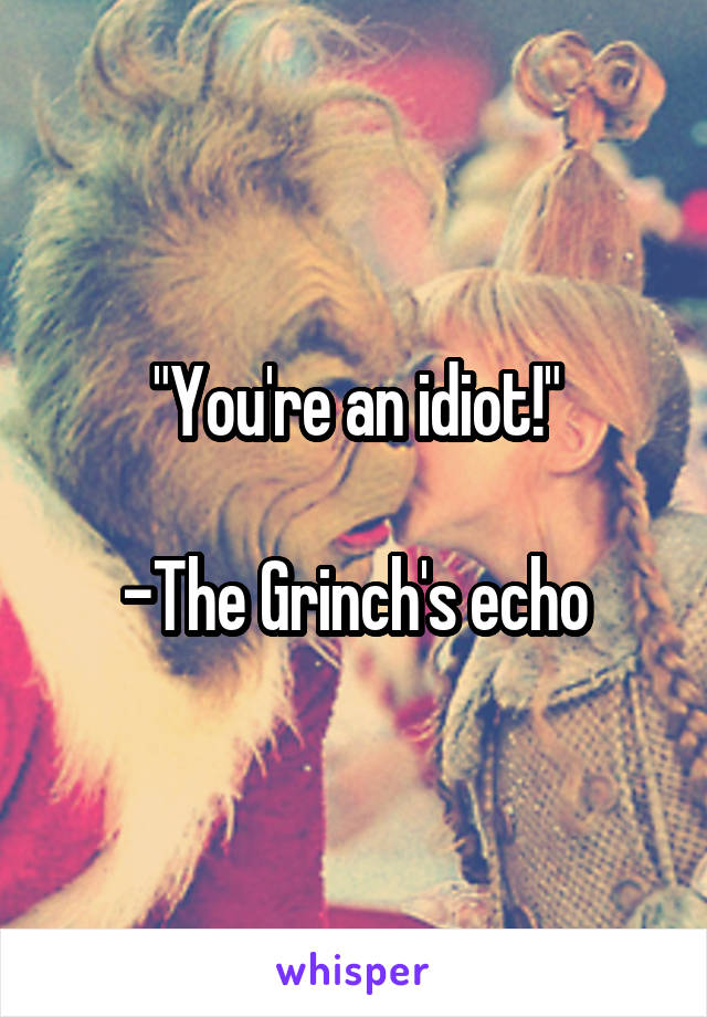 "You're an idiot!"

-The Grinch's echo