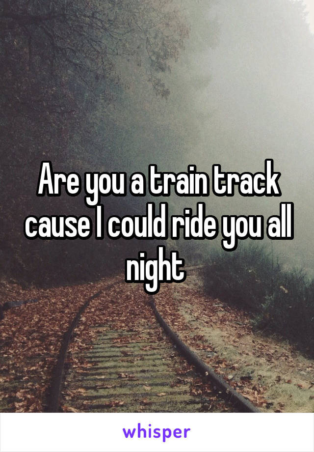 Are you a train track cause I could ride you all night 