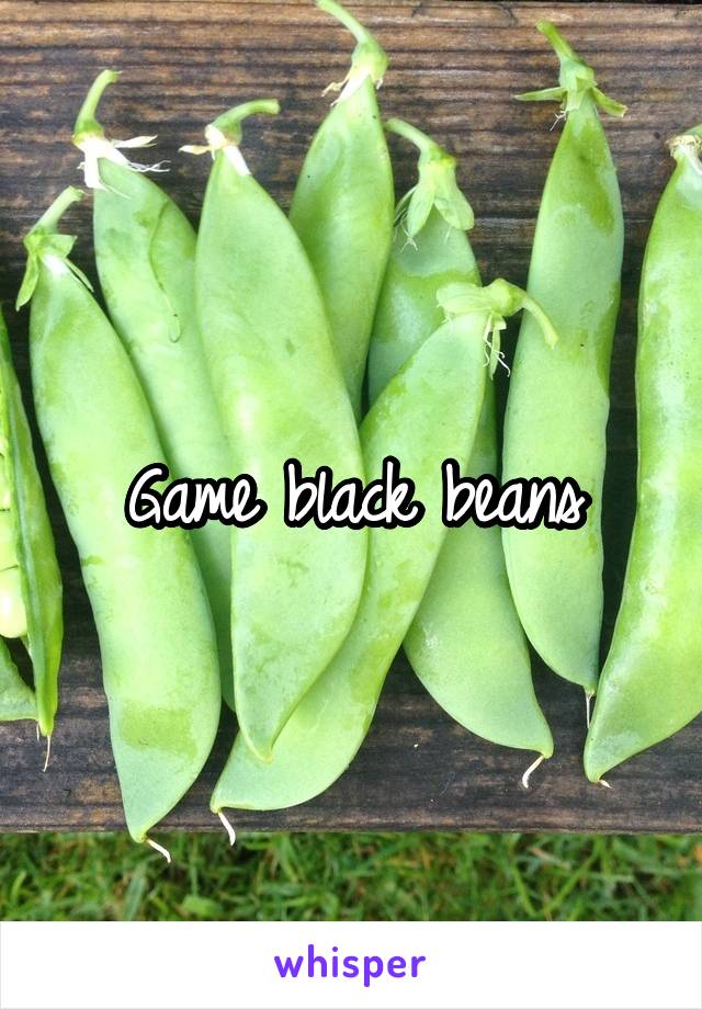 Game black beans