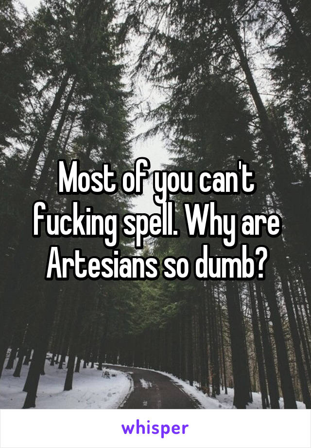 Most of you can't fucking spell. Why are Artesians so dumb?