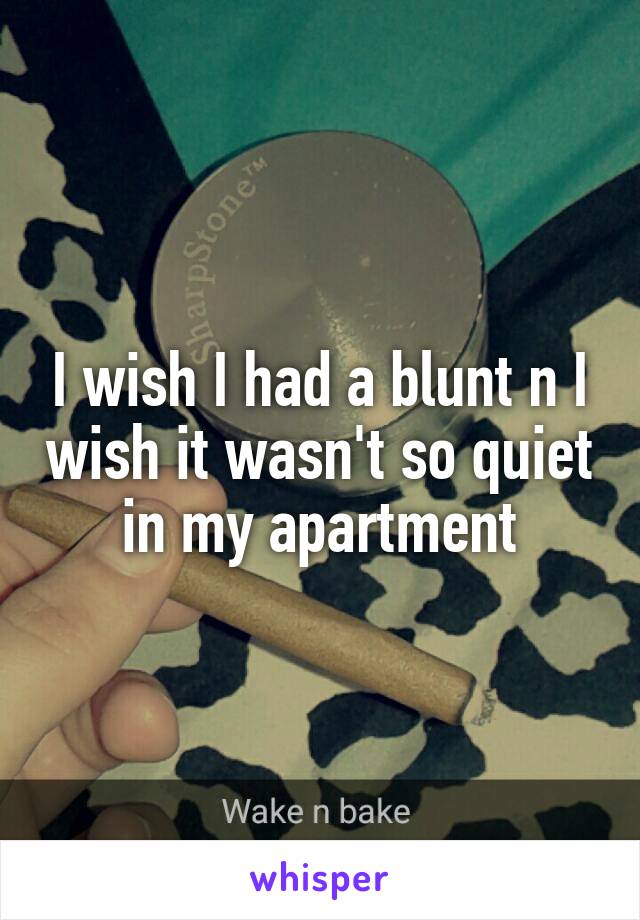 I wish I had a blunt n I wish it wasn't so quiet in my apartment