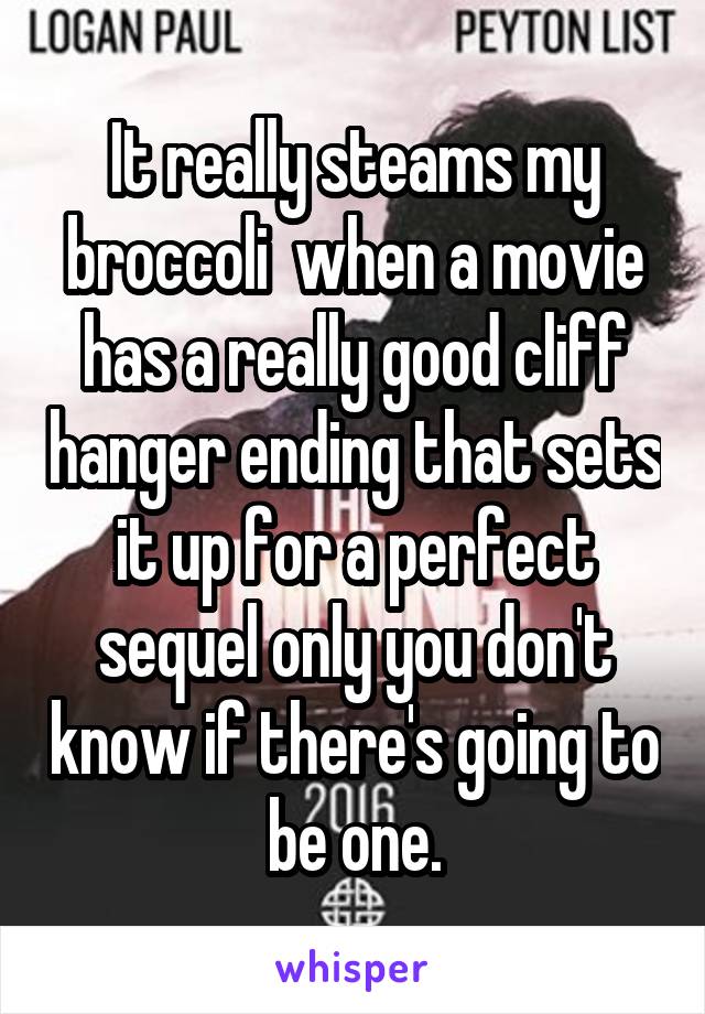 It really steams my broccoli  when a movie has a really good cliff hanger ending that sets it up for a perfect sequel only you don't know if there's going to be one.