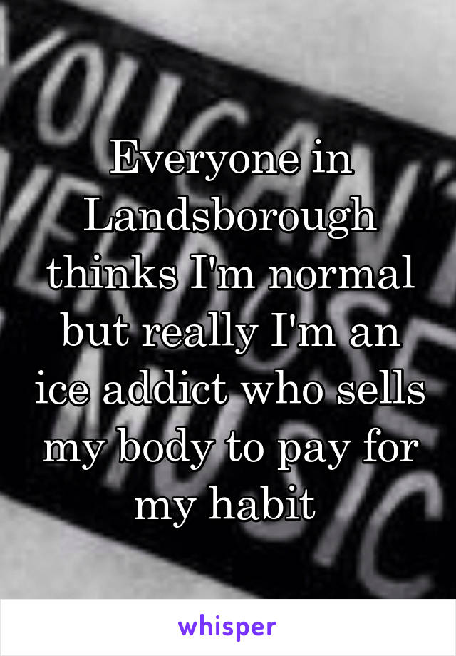 Everyone in Landsborough thinks I'm normal but really I'm an ice addict who sells my body to pay for my habit 