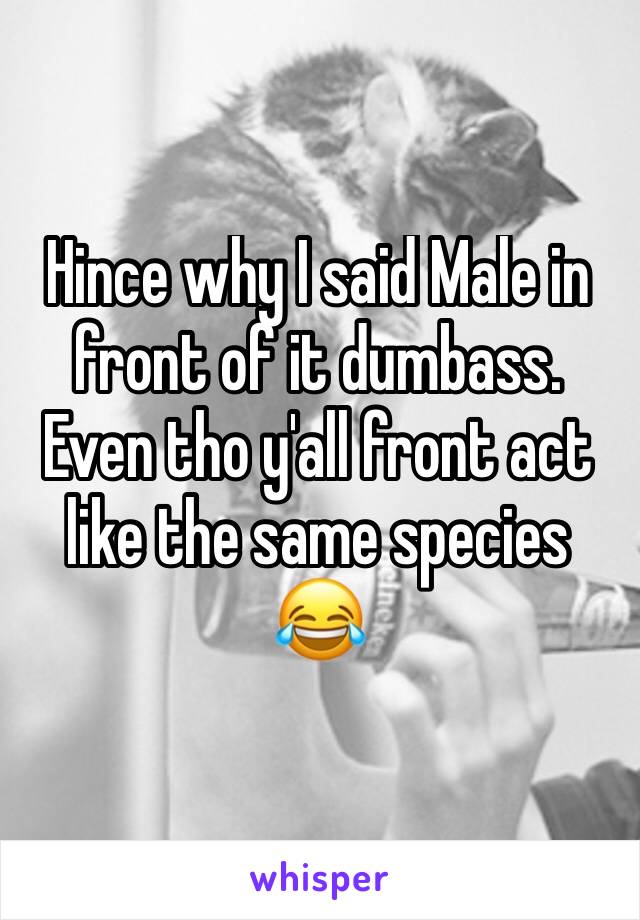 Hince why I said Male in front of it dumbass. Even tho y'all front act like the same species 😂