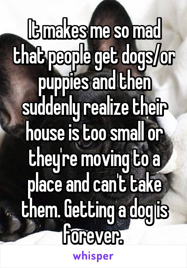 It makes me so mad that people get dogs/or puppies and then suddenly realize their house is too small or they're moving to a place and can't take them. Getting a dog is forever. 