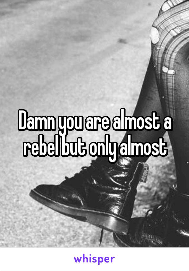 Damn you are almost a rebel but only almost