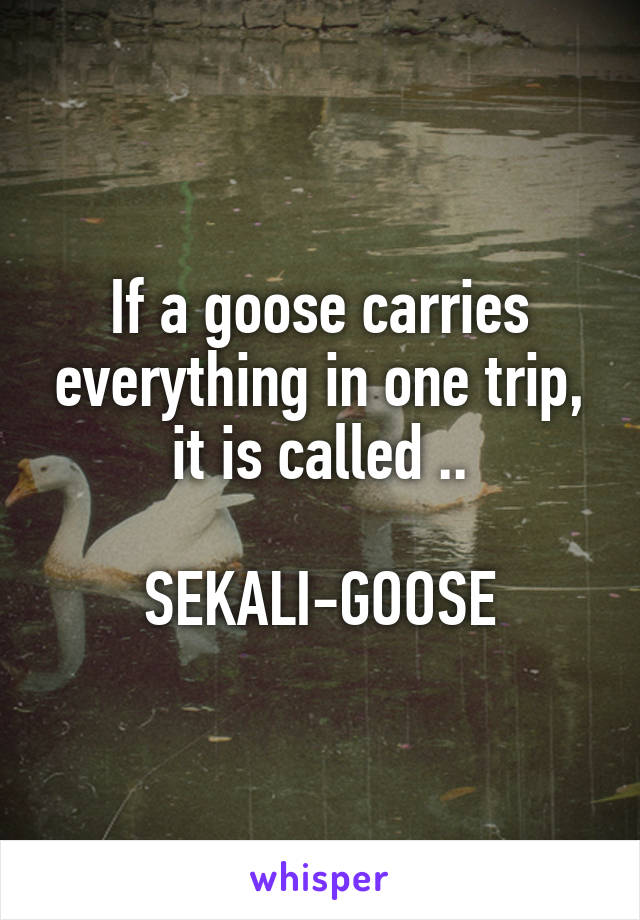 If a goose carries everything in one trip, it is called ..

SEKALI-GOOSE