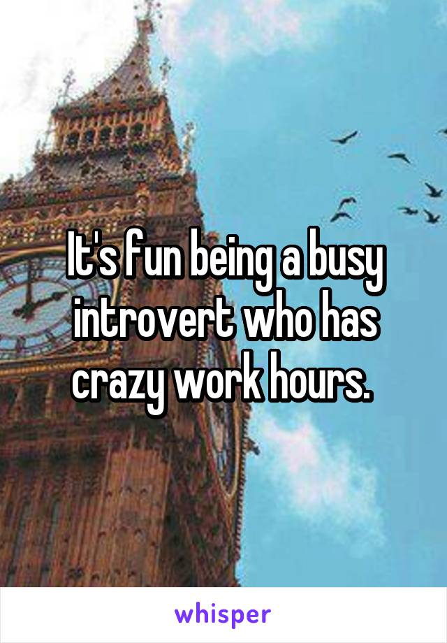 It's fun being a busy introvert who has crazy work hours. 