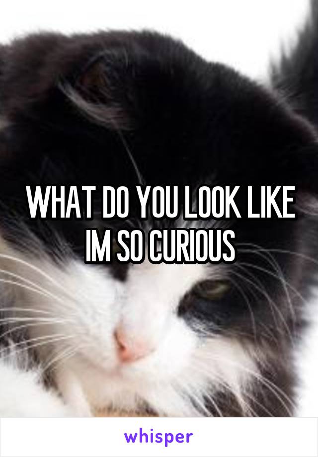 WHAT DO YOU LOOK LIKE IM SO CURIOUS