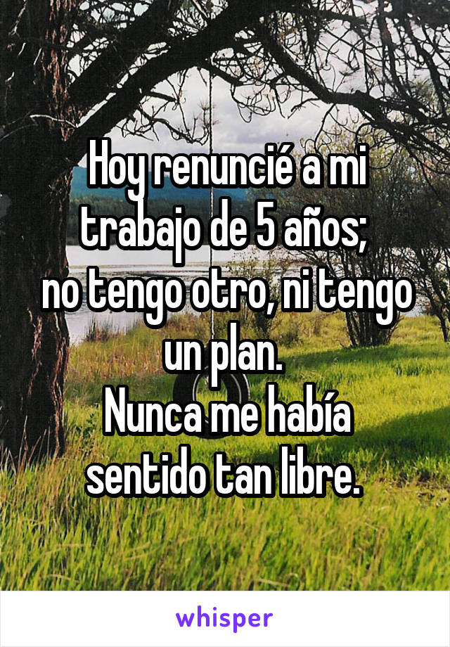 Hoy renuncié a mi trabajo de 5 años; 
no tengo otro, ni tengo un plan. 
Nunca me había sentido tan libre. 