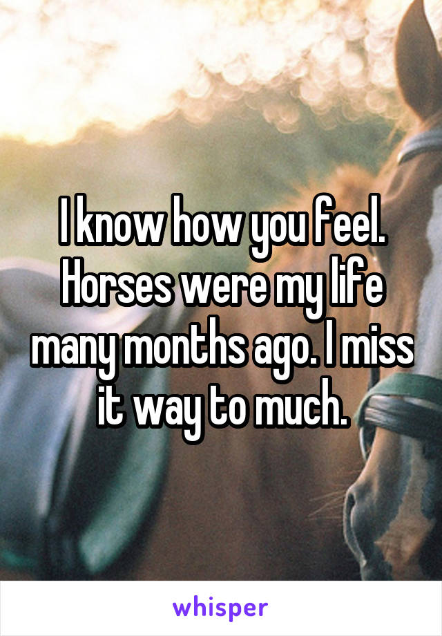 I know how you feel. Horses were my life many months ago. I miss it way to much.