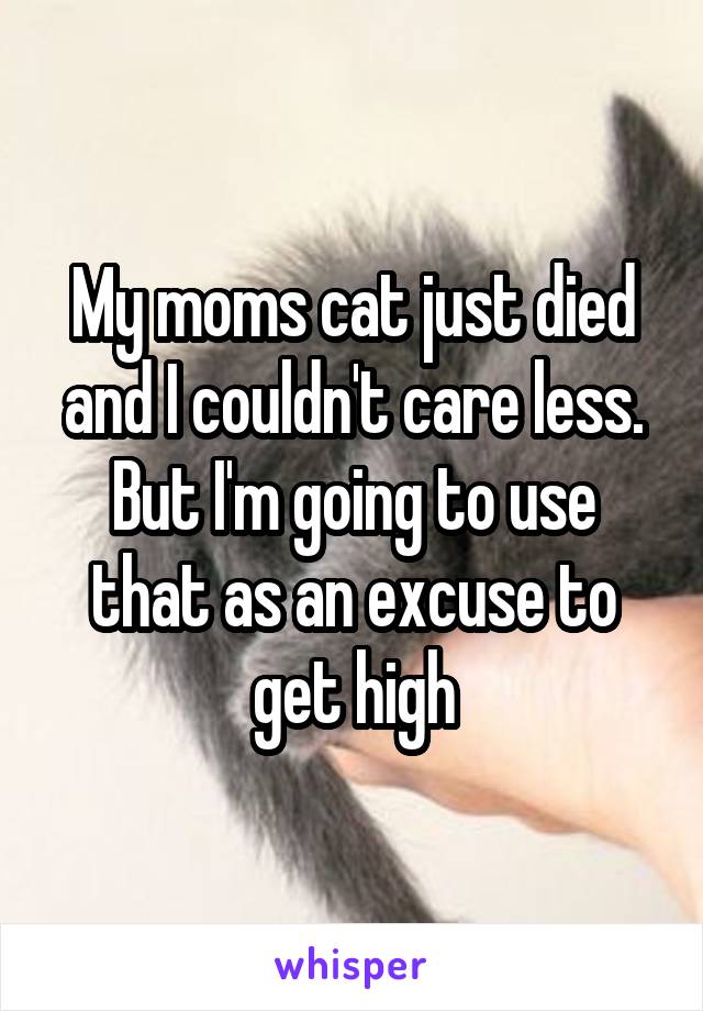 My moms cat just died and I couldn't care less. But I'm going to use that as an excuse to get high