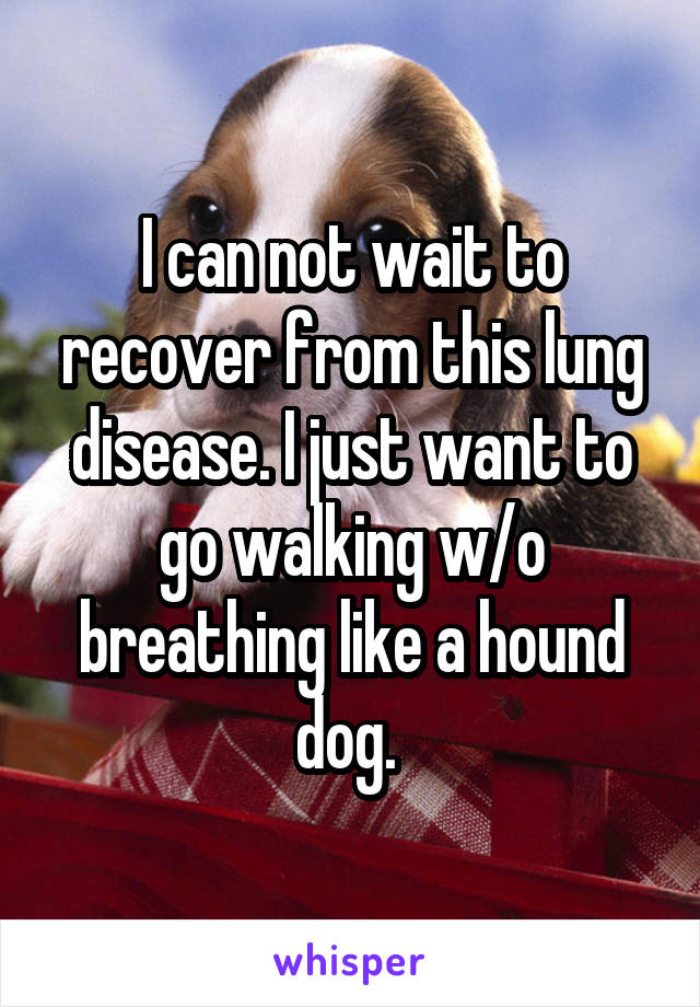 I can not wait to recover from this lung disease. I just want to go walking w/o breathing like a hound dog. 