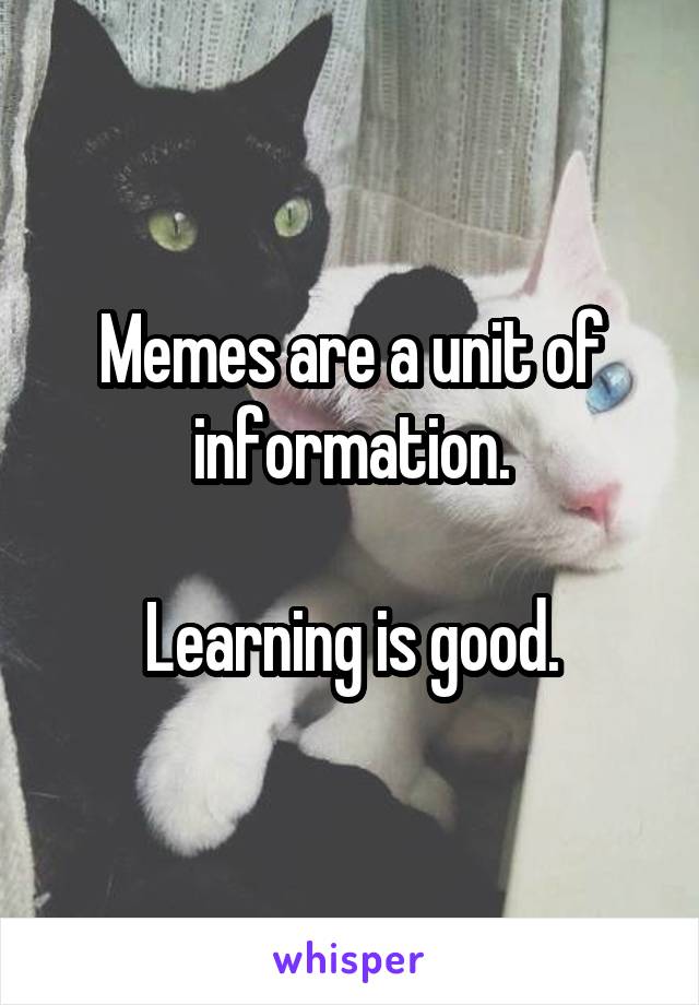 Memes are a unit of information.

Learning is good.