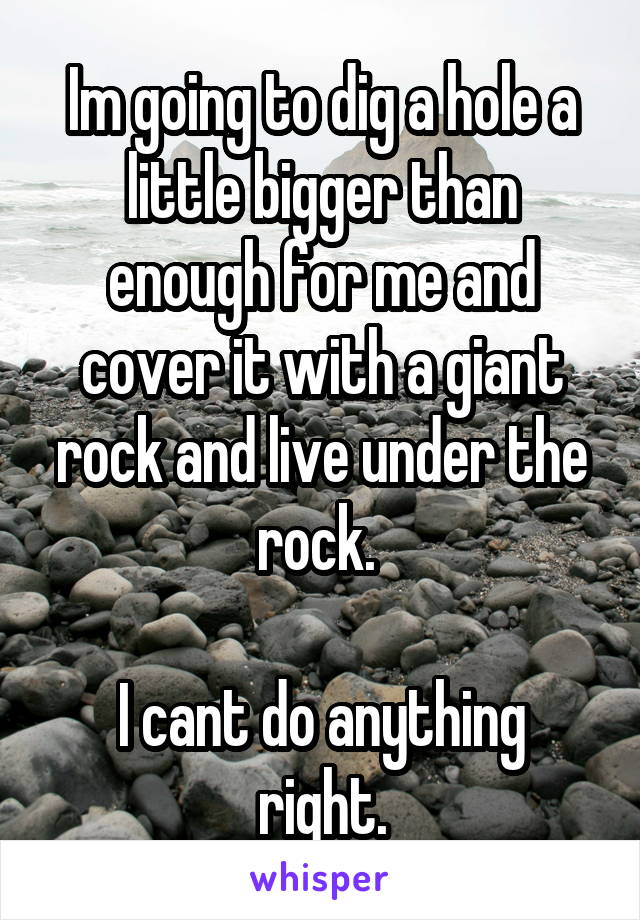 Im going to dig a hole a little bigger than enough for me and cover it with a giant rock and live under the rock. 

I cant do anything right.