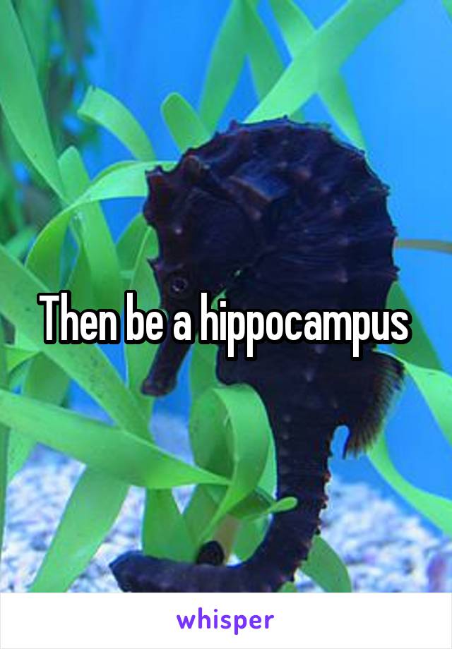 Then be a hippocampus 