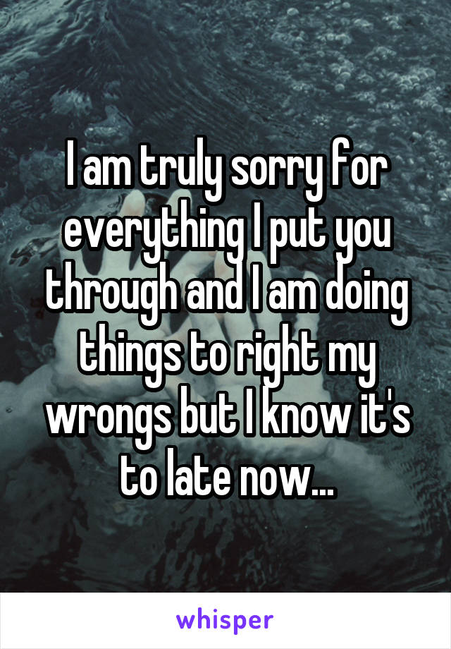 I am truly sorry for everything I put you through and I am doing things to right my wrongs but I know it's to late now...