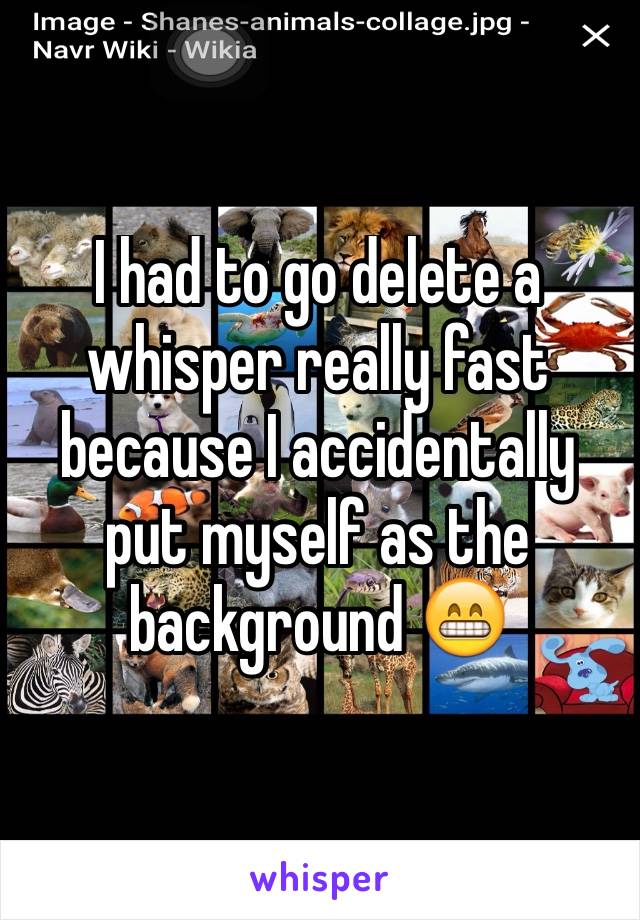 I had to go delete a whisper really fast because I accidentally put myself as the background 😁