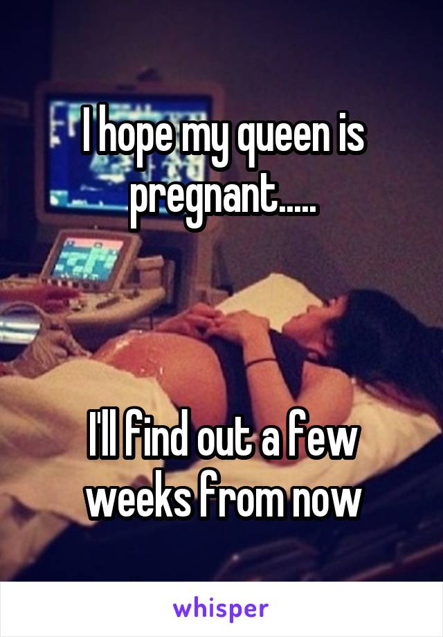 I hope my queen is pregnant.....



I'll find out a few weeks from now