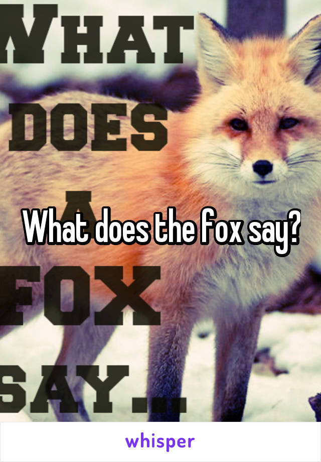 What does the fox say?