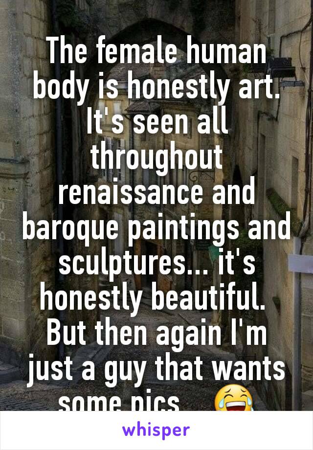 The female human body is honestly art. It's seen all throughout renaissance and baroque paintings and sculptures... it's honestly beautiful. 
But then again I'm just a guy that wants some pics... 😂