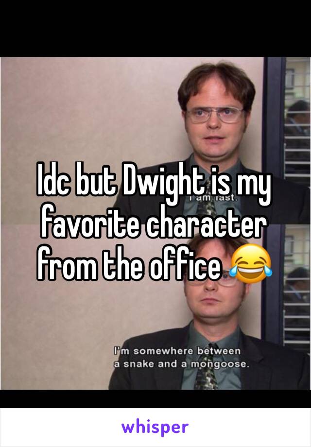 Idc but Dwight is my favorite character from the office 😂