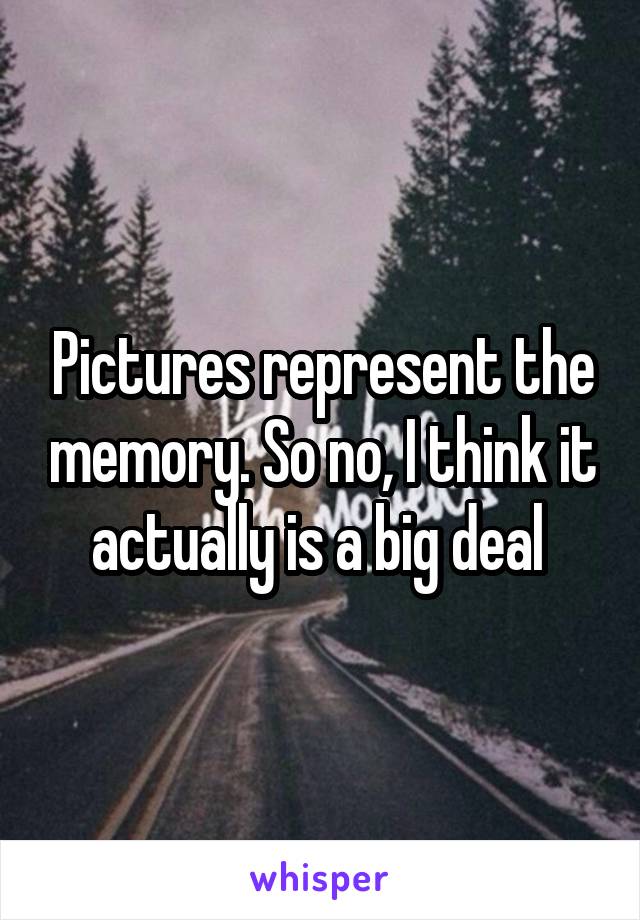 Pictures represent the memory. So no, I think it actually is a big deal 