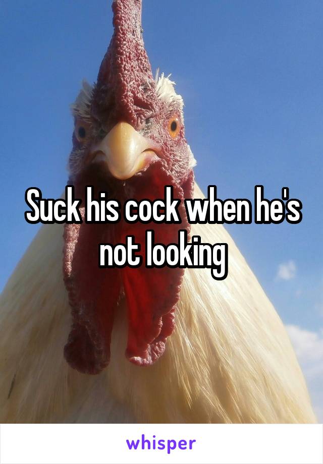 Suck his cock when he's not looking