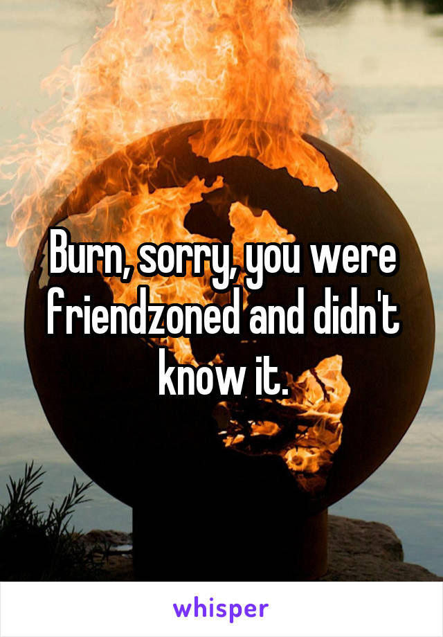 Burn, sorry, you were friendzoned and didn't know it.