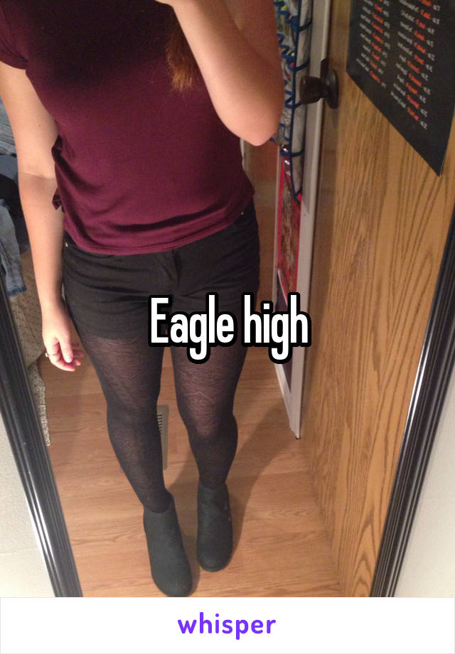 Eagle high