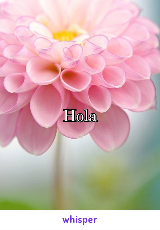 Hola