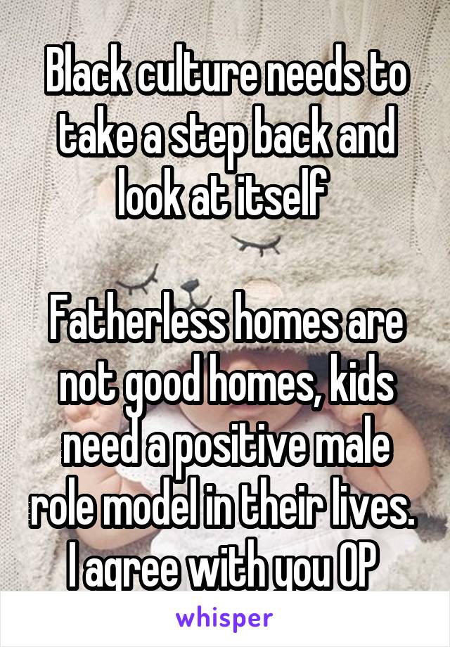 Black culture needs to take a step back and look at itself 

Fatherless homes are not good homes, kids need a positive male role model in their lives. 
I agree with you OP 