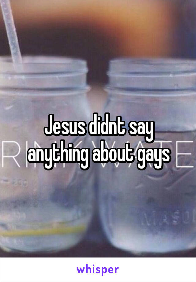 Jesus didnt say anything about gays