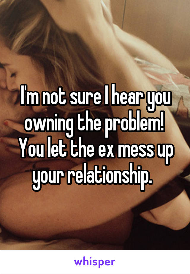 I'm not sure I hear you owning the problem!  You let the ex mess up your relationship.  