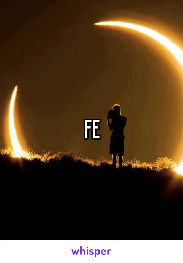 FE