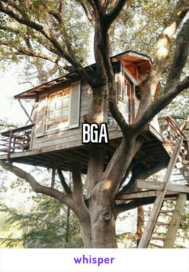 BGA